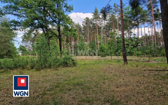 Grunt budowlany jednorodzinny na  sprzedaż Szprotawa - Wyjątkowa działka 32 ary pod lasem Szprotawa (Puszczyków / kierunek Nowa Kopernia)
